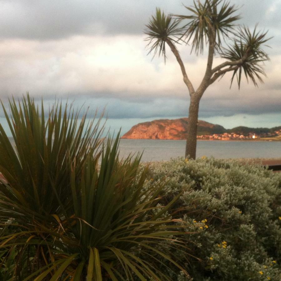 Cedar Lodge Llandudno Buitenkant foto